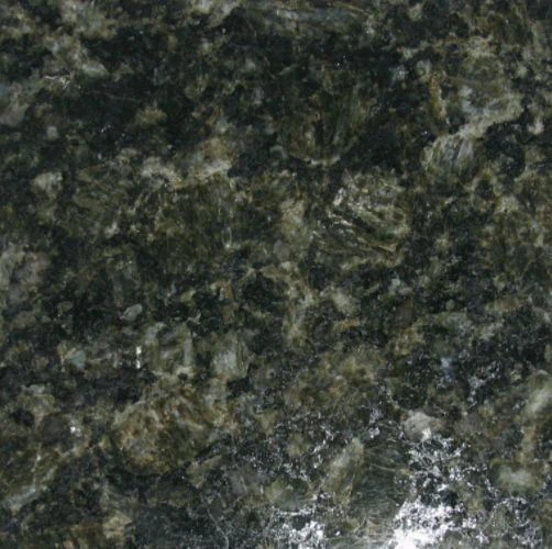 China Verde Butterfly Green Granite Slabs for Sale(001)