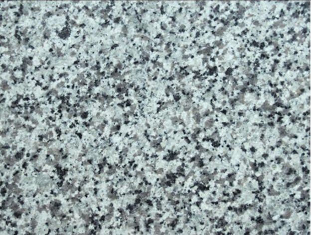 Polished White G640 Granite Slabs